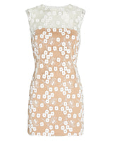 RUMER - Rosella Floral Embroidered Lace Mini dress